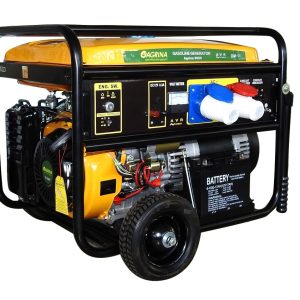 Agregat Agrina LT8000 monofazni + trofazni - Profi